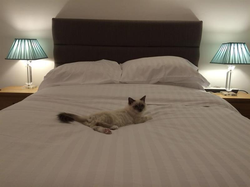 Oyo Oakcroft Guest House Manchester Airport Ringway Eksteriør billede